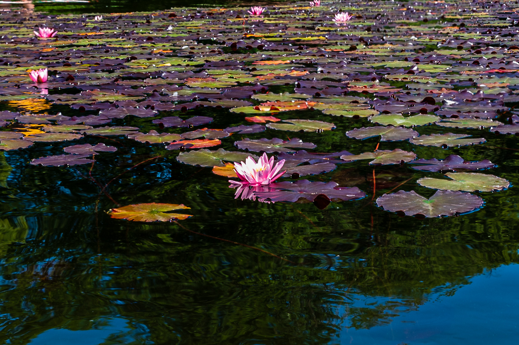 Kajaktour Staffelsee 12.06.22